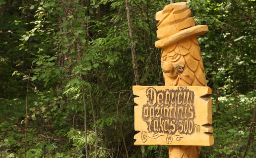 26_Degučių pažintinio takas (3).jpg